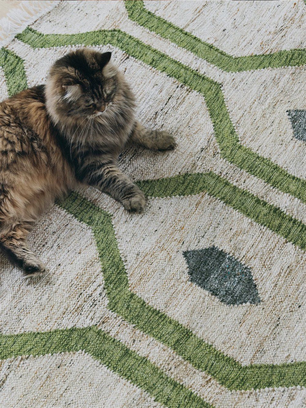Shop quality rugs online with free shipping - Rugvista