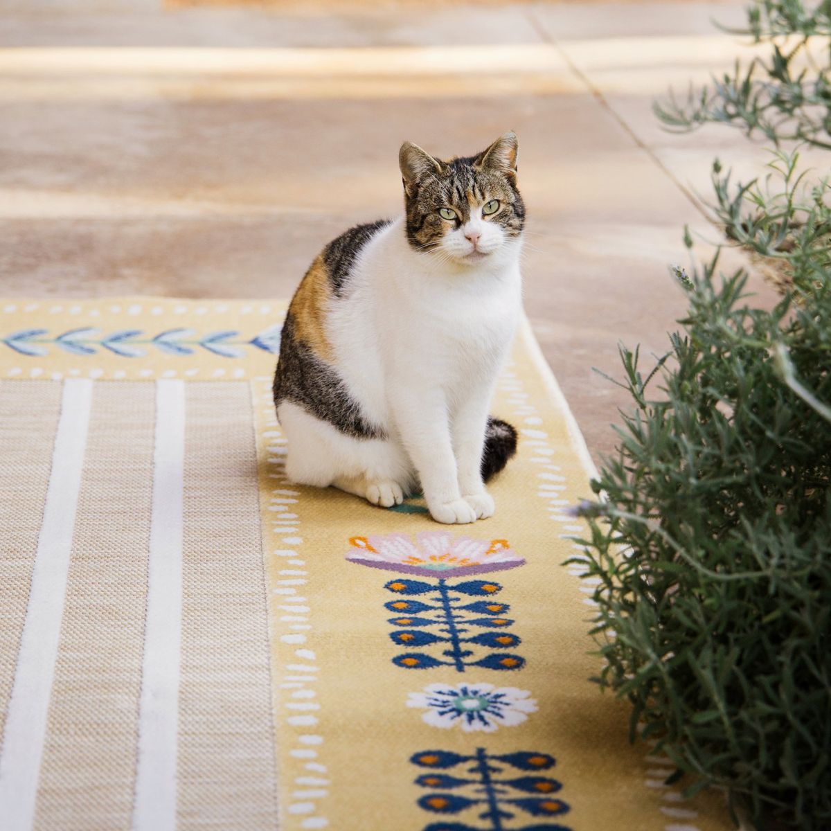 Geometric outdoor rugs - Quality rugs online - Rugvista