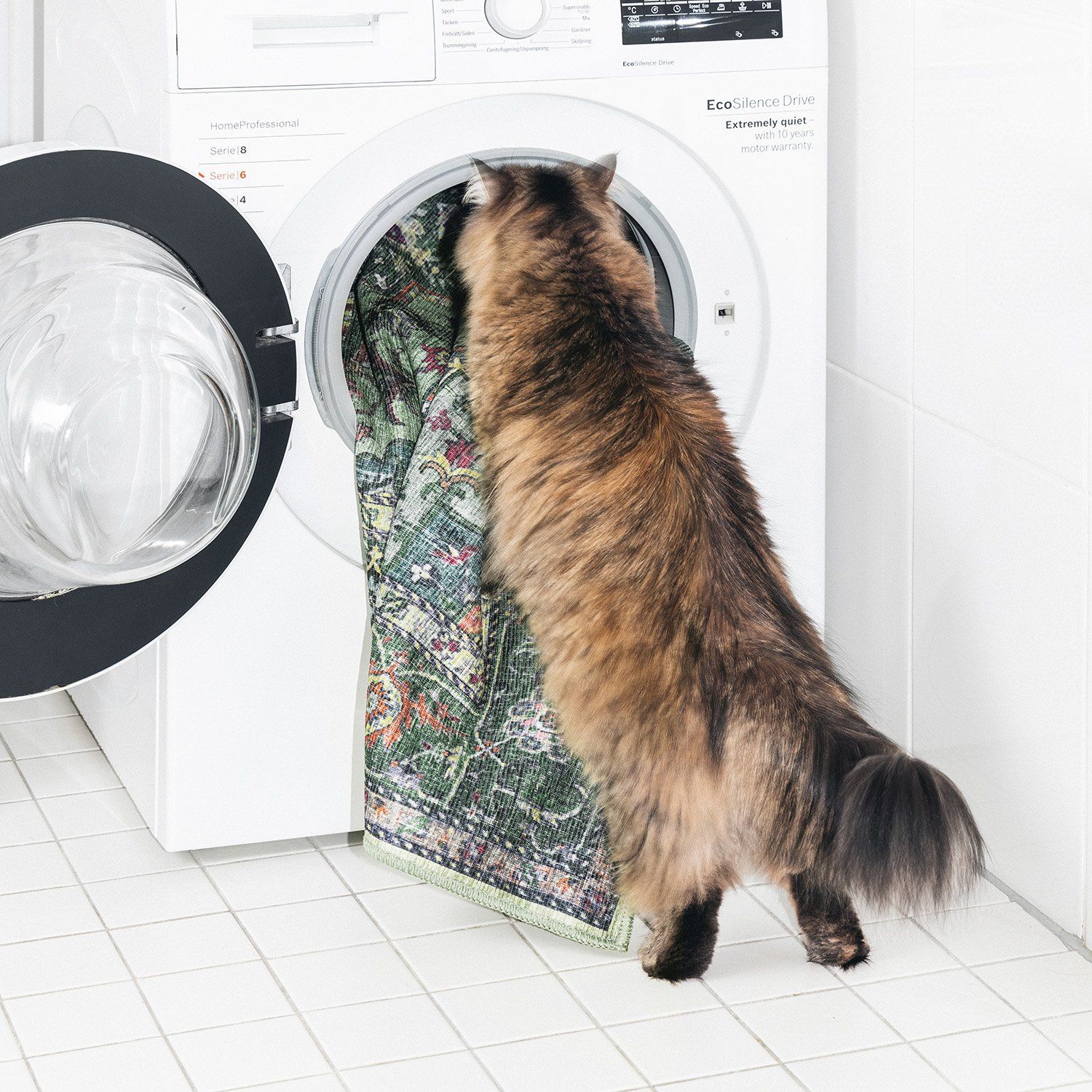 Pet-friendly rugs: Best rugs for pet owners - Rugvista