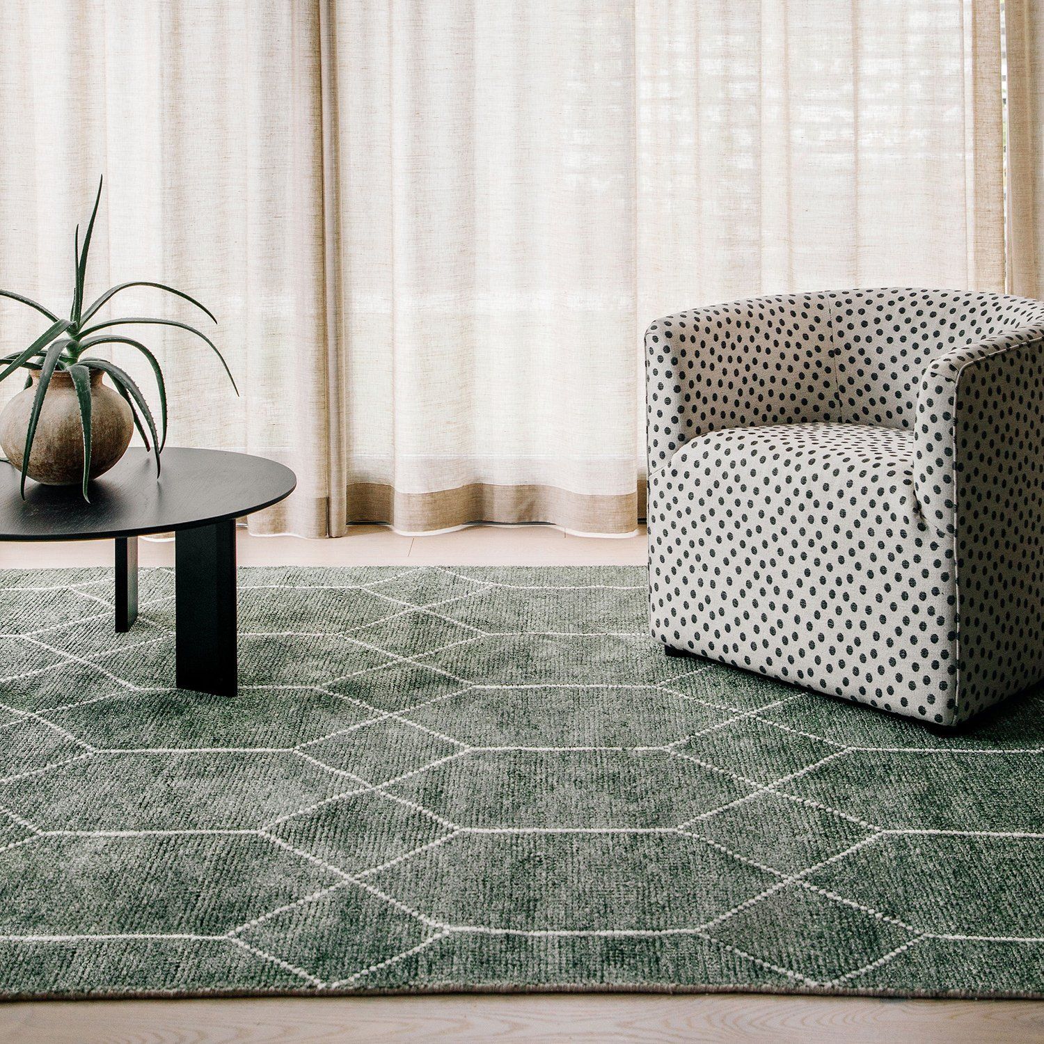 Black friday rug discount