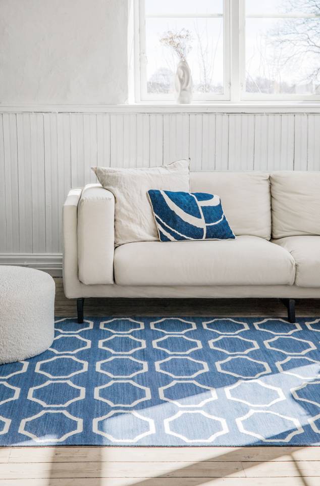 Blue  kilim modern -  Carpet in a living room.