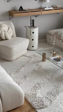 White  modern shaggy -  Carpet in a living room.