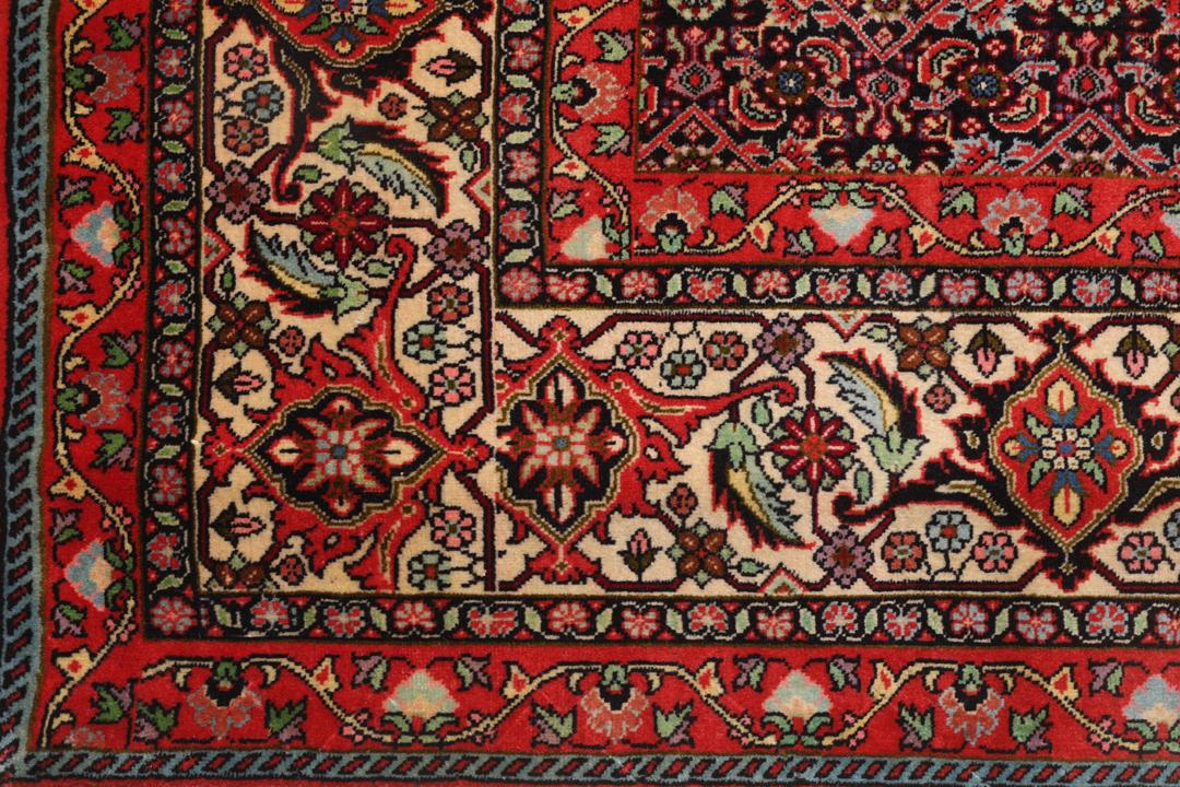 Een groot handgeknoopt Bidjar Zanjan Wool tapijt uit het Midden-Oosten in dieprode en beige tinten.