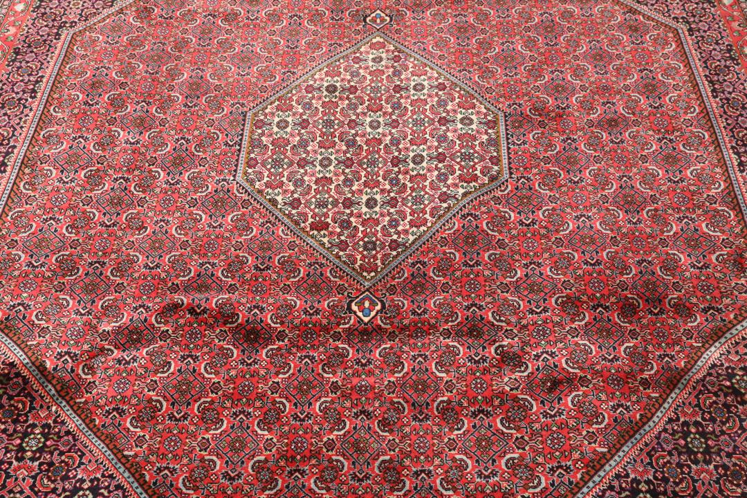 Een groot handgeknoopt Bidjar Zanjan Wool tapijt uit het Midden-Oosten in dieprode en beige tinten.