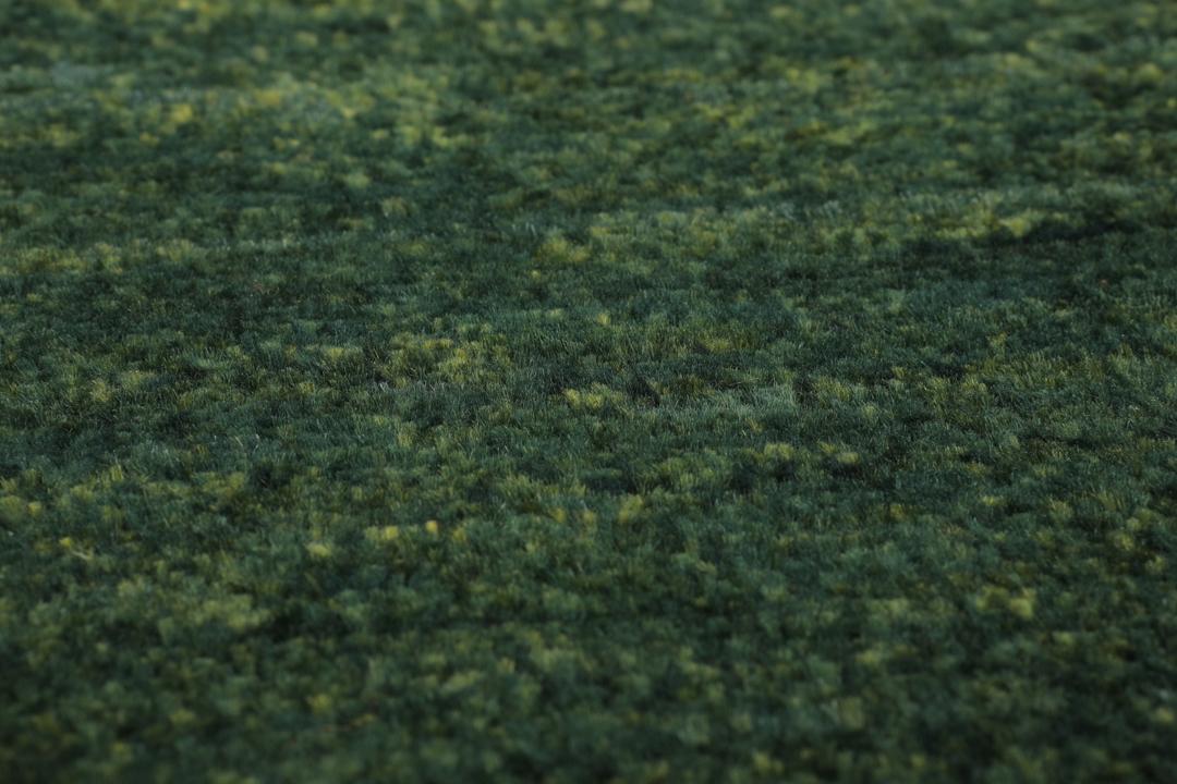Håndknyttet Loribaft-tæppe fra Mellemøsten i dybe mørkegrønne toner.