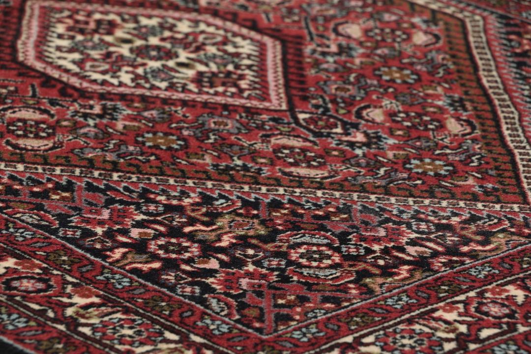 Met de hand geknoopt Bidjar-tapijt uit het Midden-Oosten met een medaillonontwerp in donkerrood en zwart