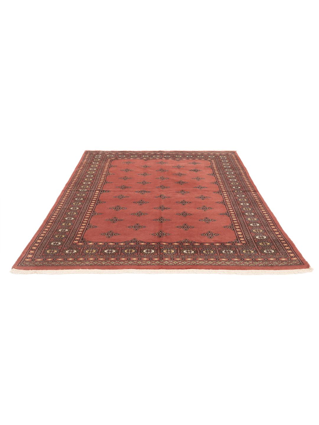Een handgeknoopt Pakistan Bokhara 2ply vloerkleed met een rood veld en herhalende geometrische motieven.