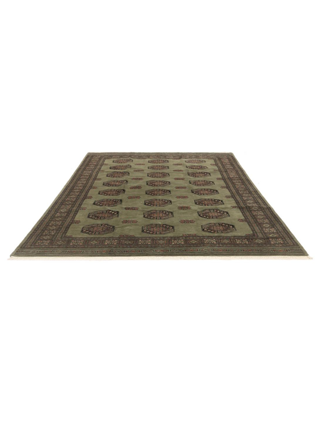 A hand-knotted Pakistan Bokhara 3ply rug with a green field and traditional motifs.