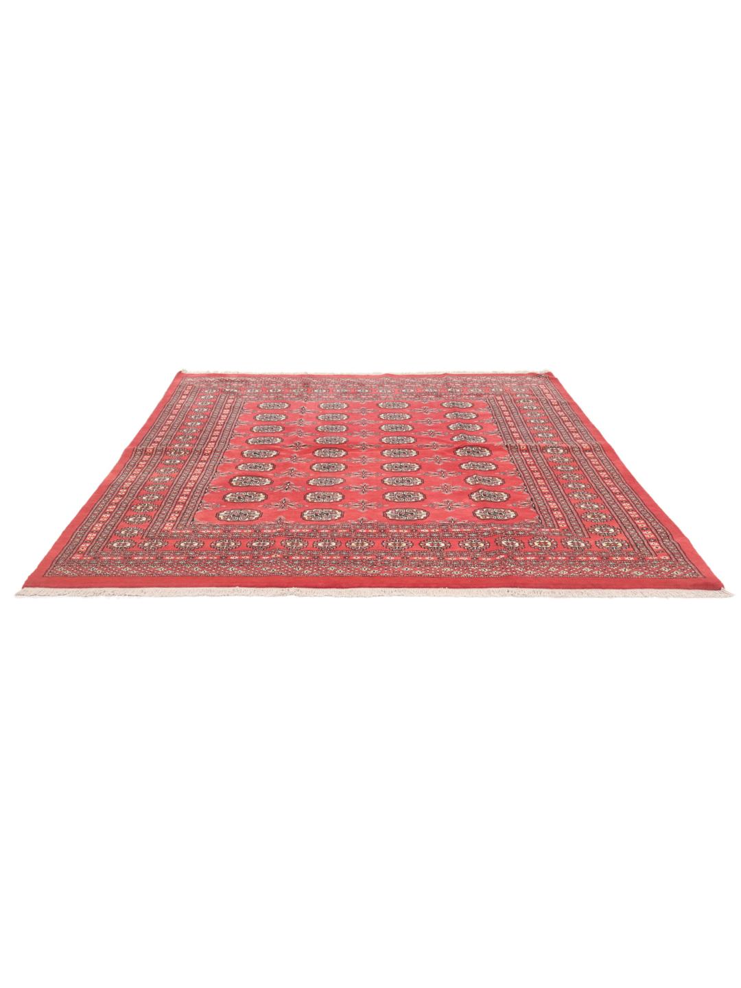 Handgeknoopt Pakistan Bokhara tapijt in dieprood met herhalende traditionele motieven
