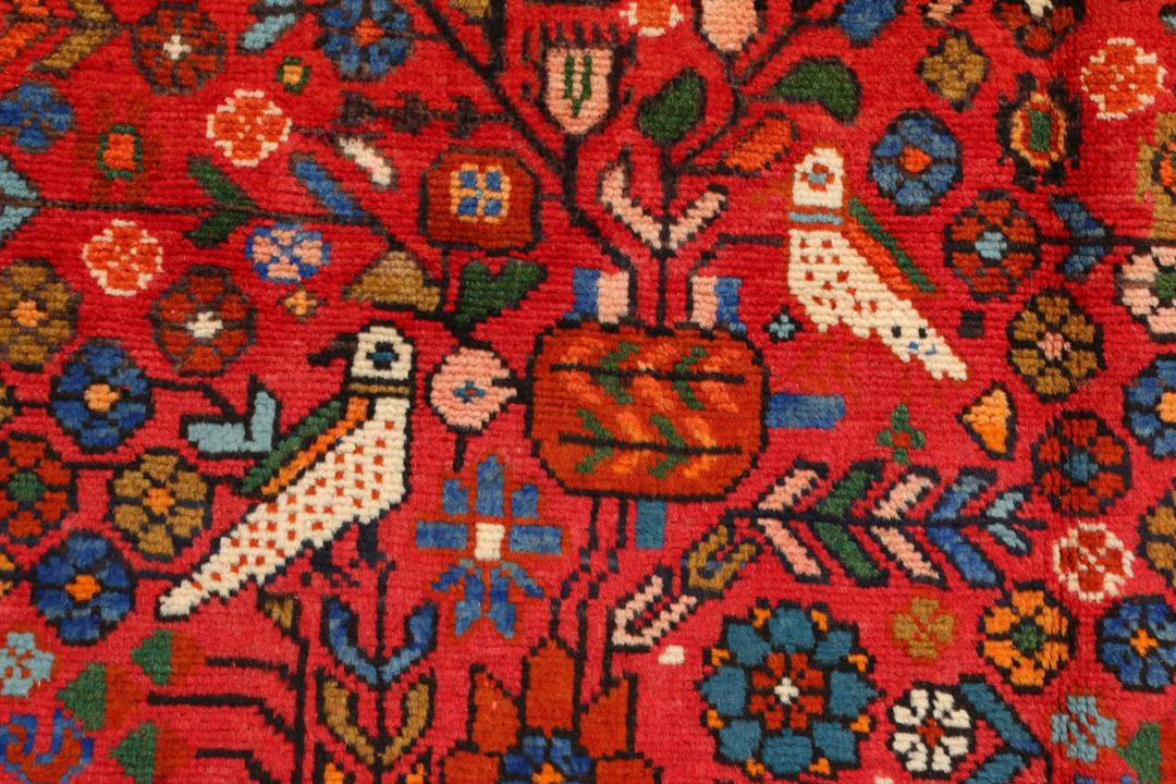 A hand-knotted Hamadan rug from the Middle East with a vibrant red field and bird motifs.