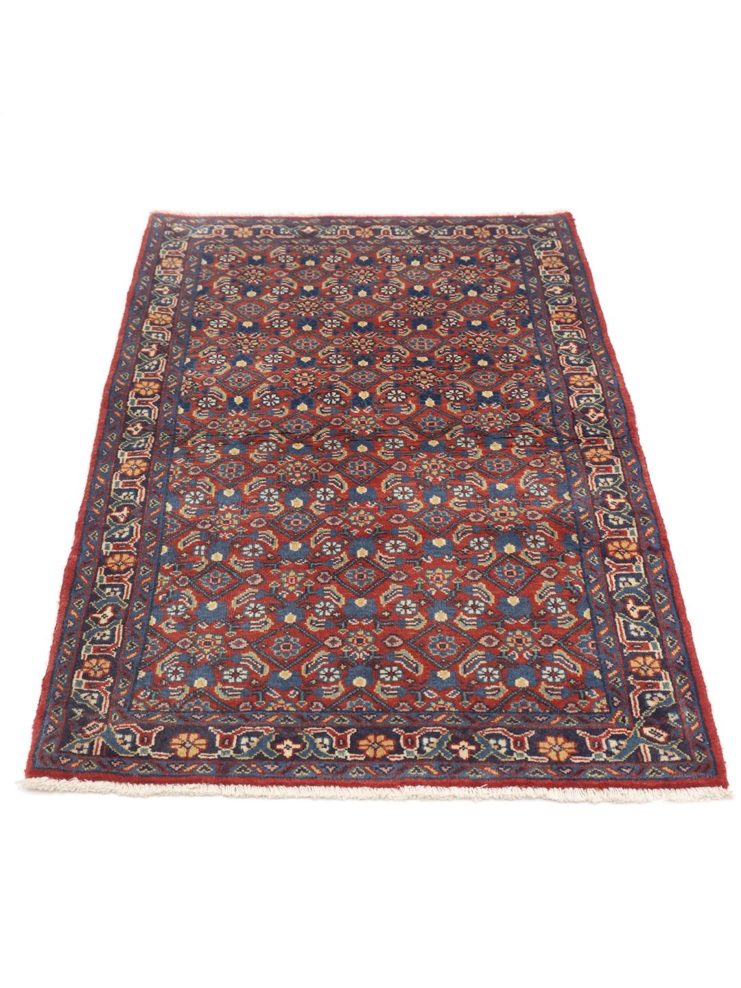 A hand-knotted Hamadan rug from the Middle East featuring blue and red tones.