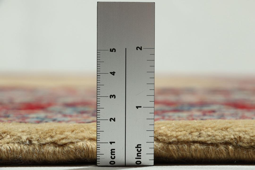 A hand-knotted Sarough rug from the Middle East with a beige field and red accents.