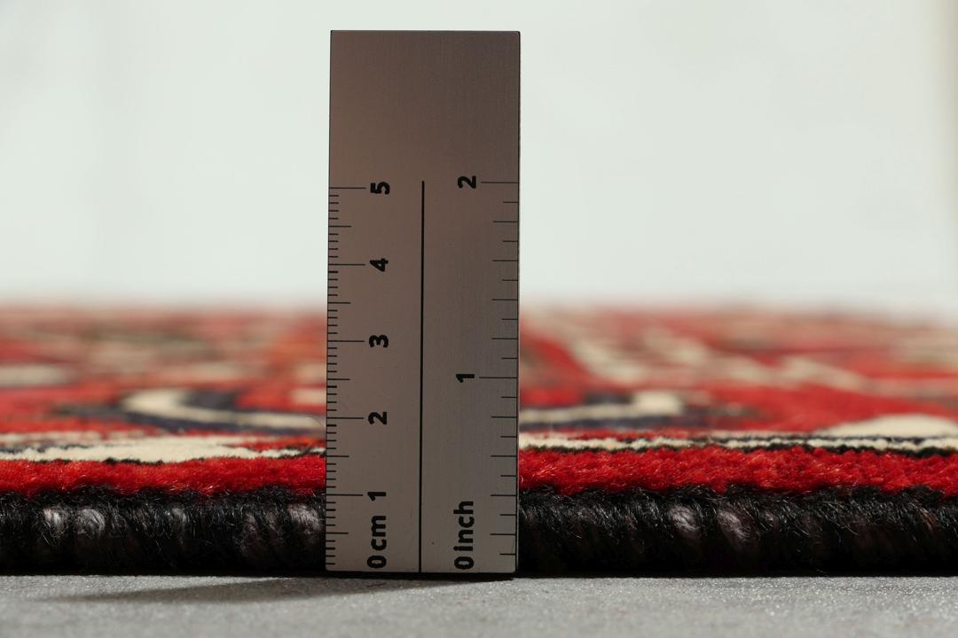A hand-knotted Middle Eastern Bakhtiari rug featuring a bold red and black floral medallion design.