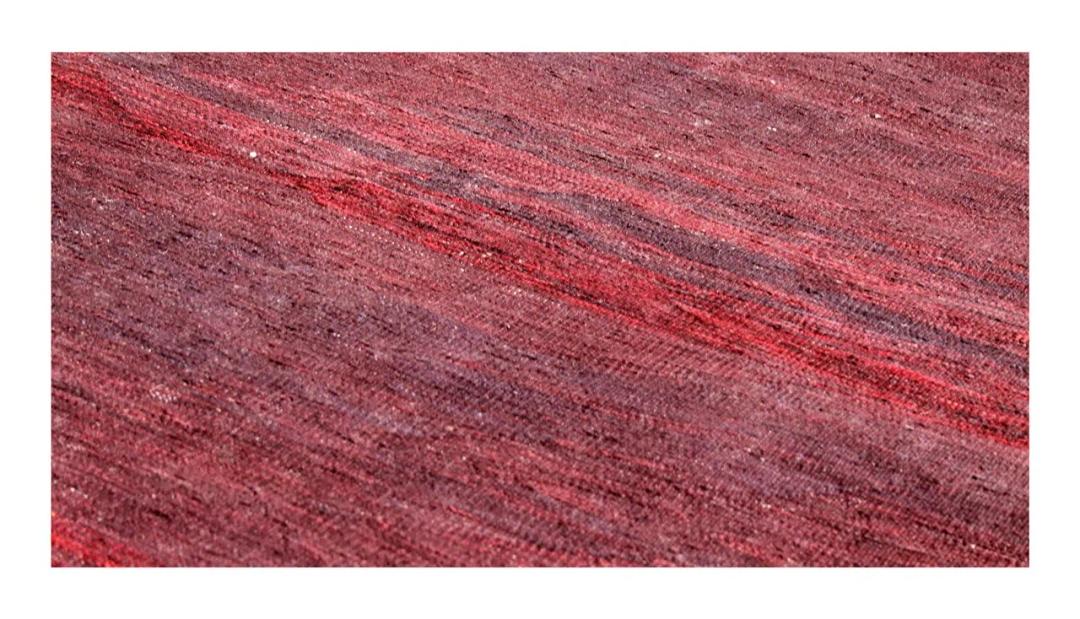 Tapis Kelim afghan tissé à la main avec un champ sombre et une bordure géométrique colorée
