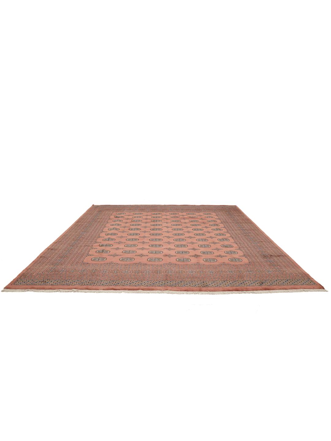 Een vierkant handgeknoopt Pakistaans Bokhara 2ply tapijt in donkerrode wol met traditionele herhalende motieven.