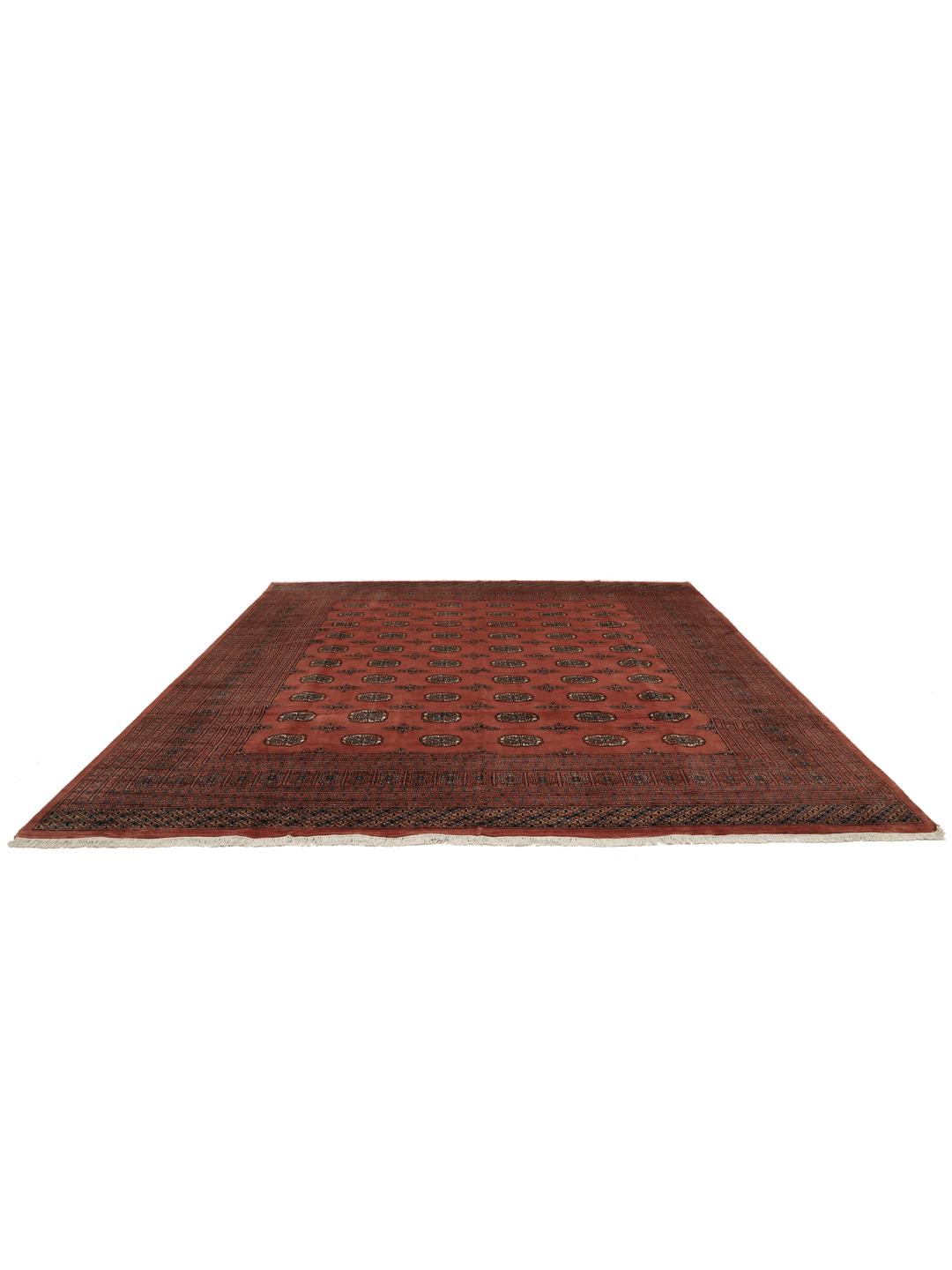 Een vierkant handgeknoopt Pakistaans Bokhara 2ply tapijt in donkerrode wol met traditionele herhalende motieven.