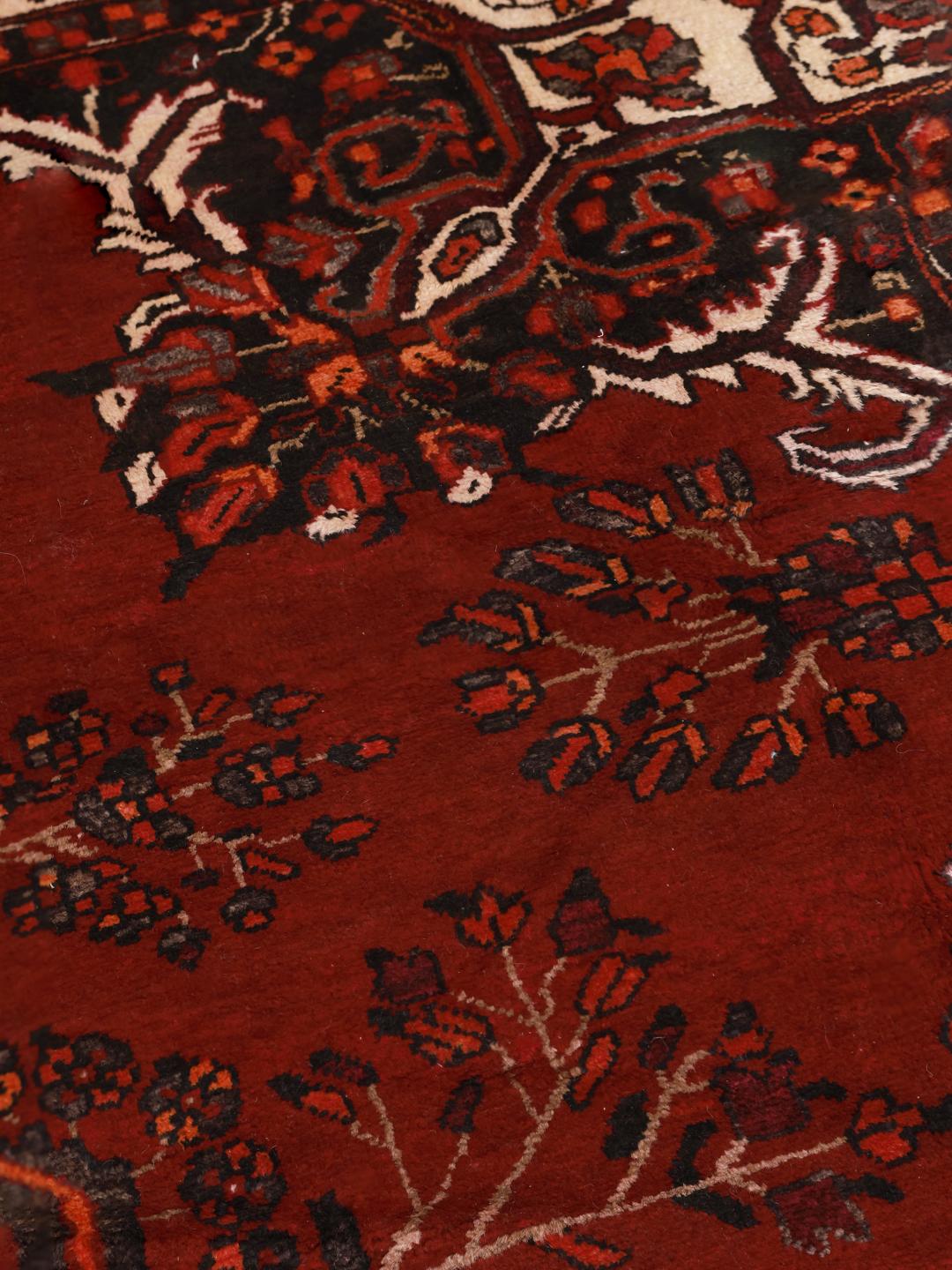 Hand-knotted Bakhtiar rug from the Middle East in dark-red wool