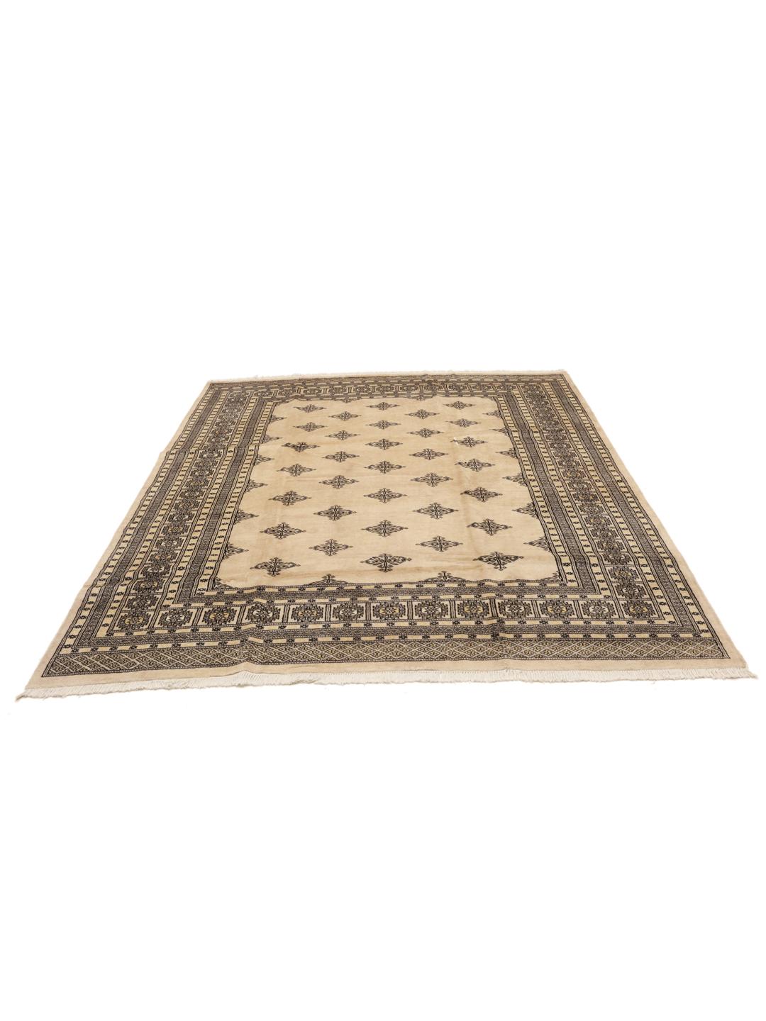 Handmade Pakistan wool rug in beige