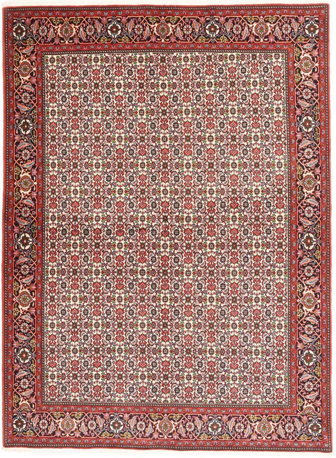 A hand-knotted Bidjar rug from the Middle East in vibrant red and cream tones