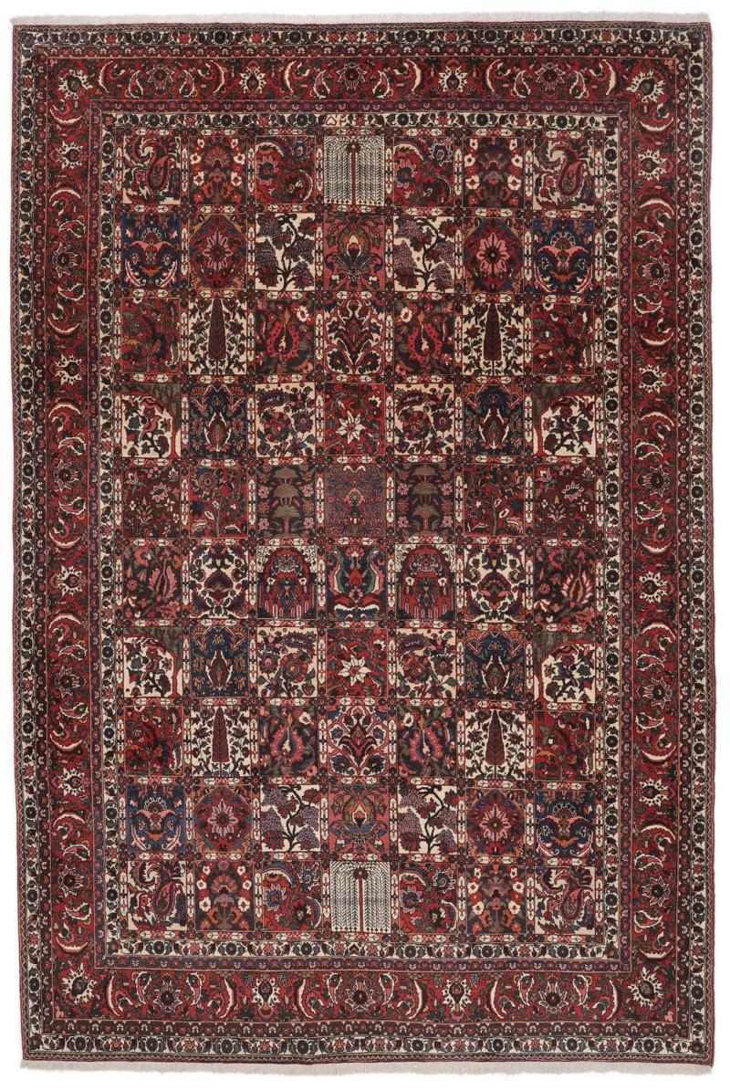 Bakhtiari