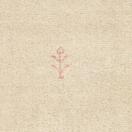 Lysebeige