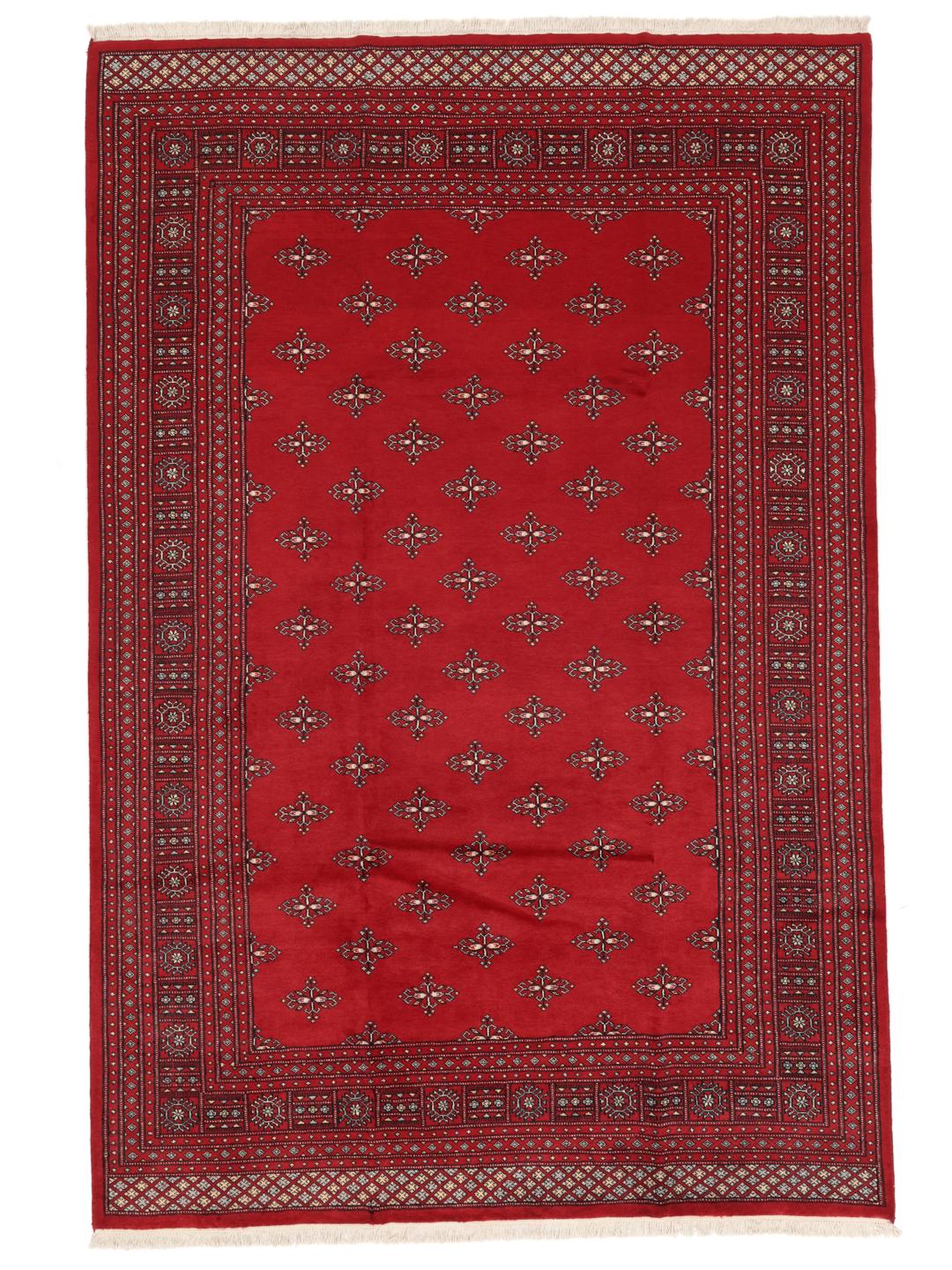 Een handgeknoopt Pakistan Bokhara tapijt met een dieprood veld en geometrische patronen.