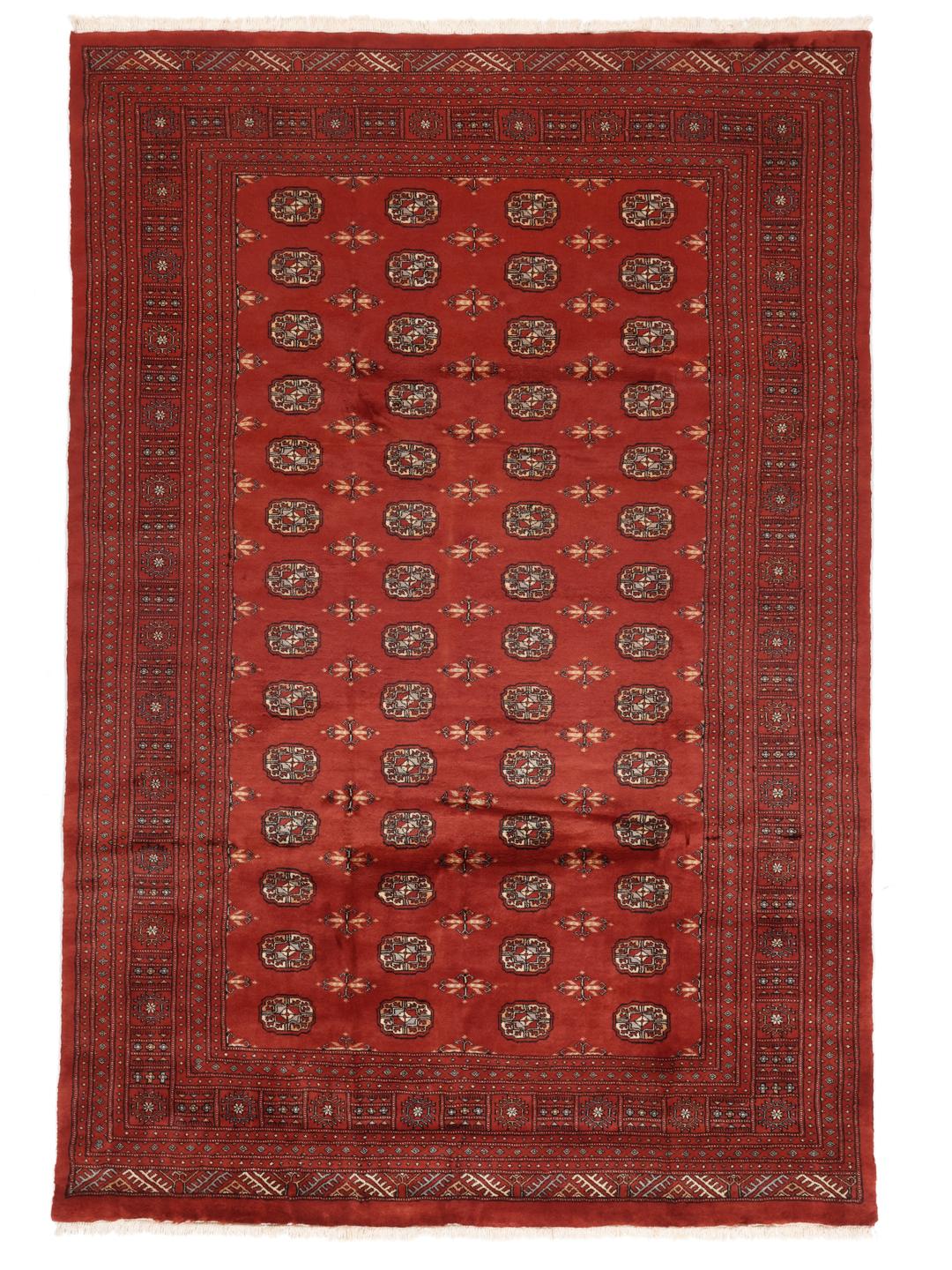 Håndknyttet Pakistan Bokhara 3ply-tæppe i rige røde nuancer med gentagne geometriske motiver.