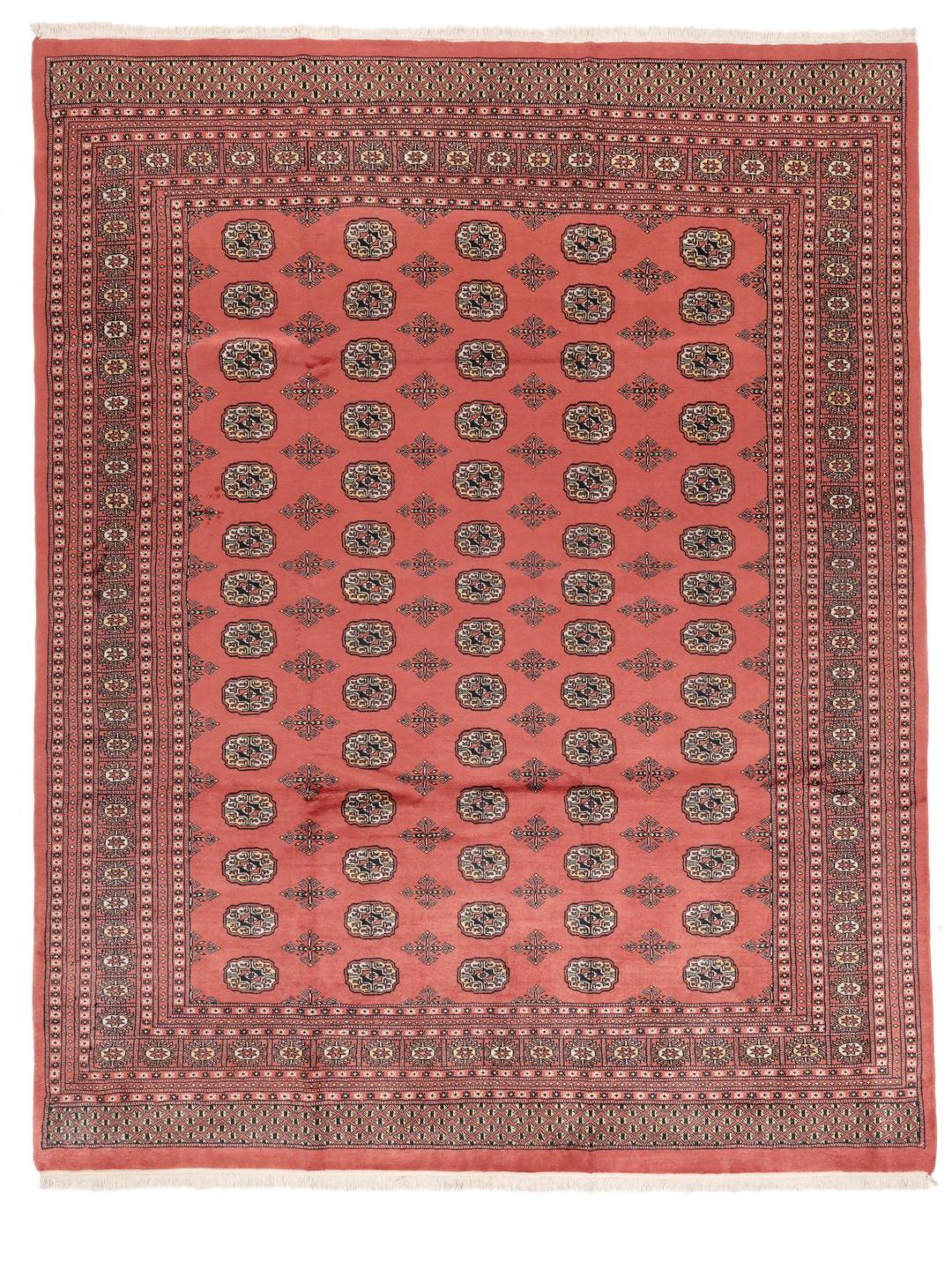 Et håndknyttet rødt Pakistan Bokhara-tæppe med traditionelle geometriske mønstre.