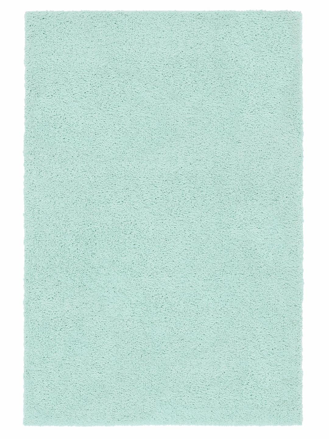 2'x4' Polyester Spearmint Green Accent Rug main image 0