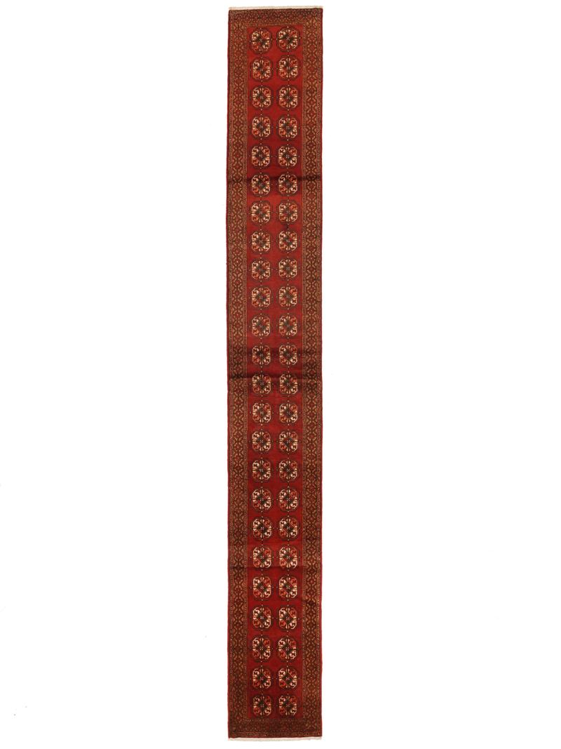 Beluch