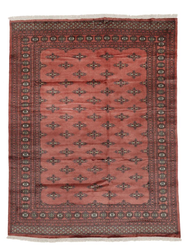 Bokhara 2ply
