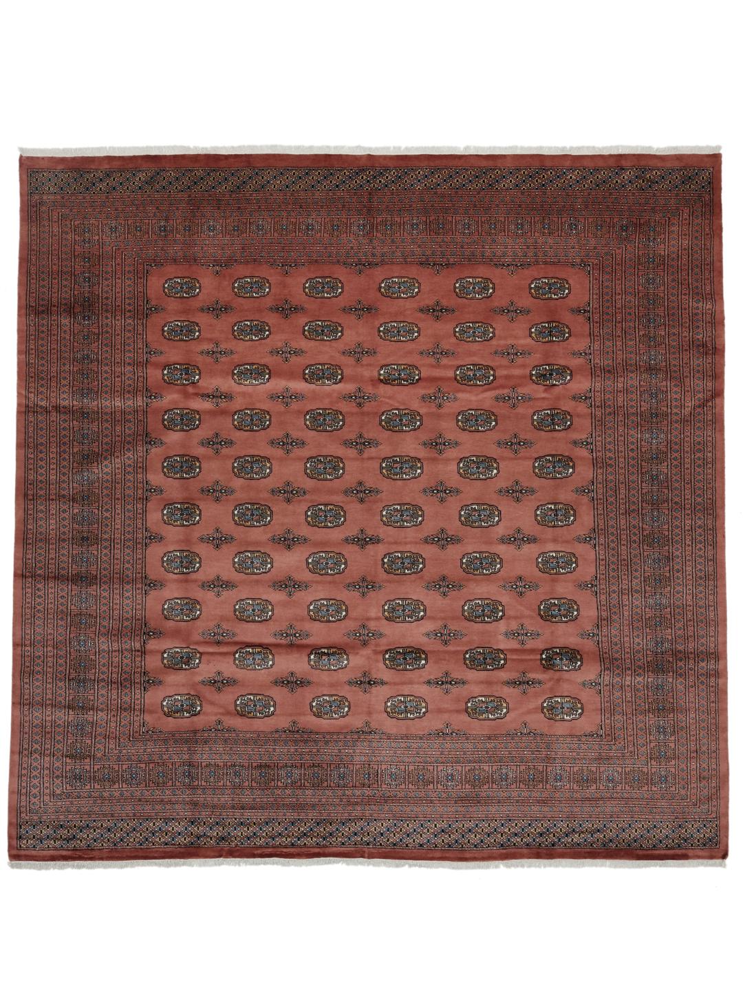 Een vierkant handgeknoopt Pakistaans Bokhara 2ply tapijt in donkerrode wol met traditionele herhalende motieven.