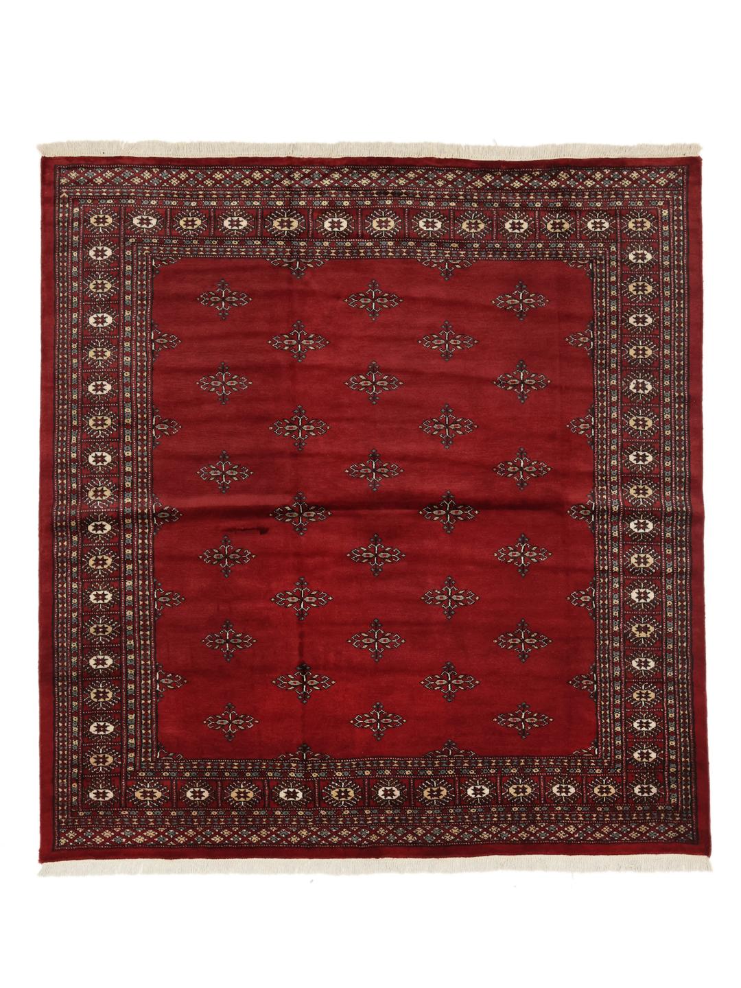 Een vierkant, dieprood handgeknoopt Bokhara tapijt uit Pakistan met traditionele herhalende motieven.
