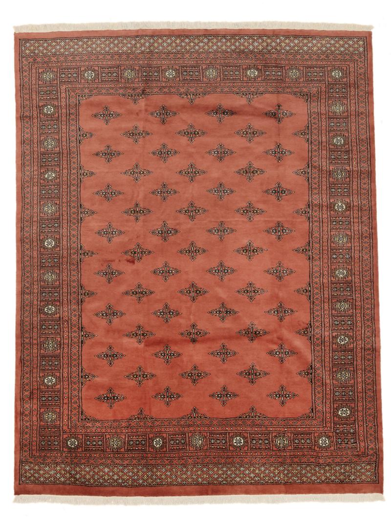Bokhara 2ply
